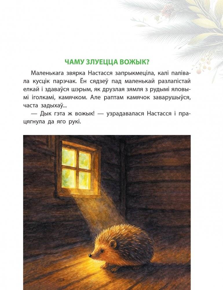 Светлая дарога дадому : аповесці фото книги 2