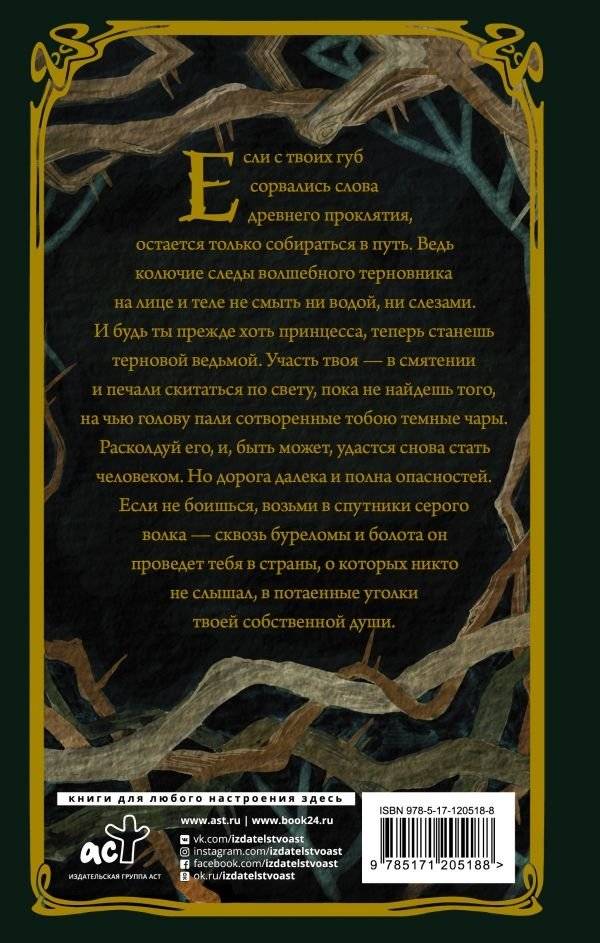 Терновая ведьма. Изольда фото книги 2