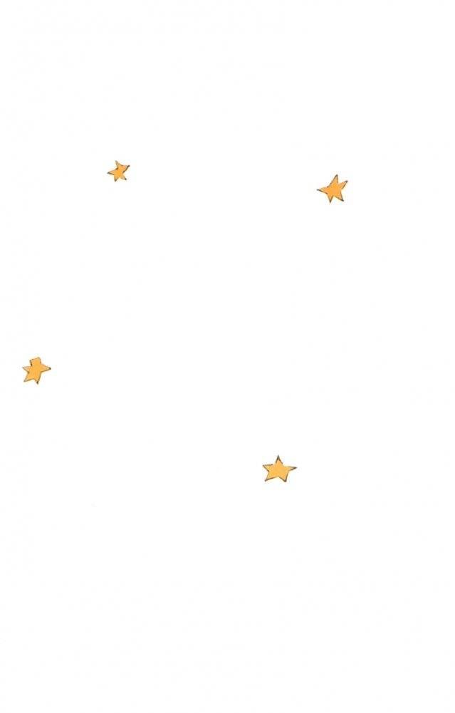 Маленькі прынц фото книги 4