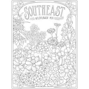 Creative Haven Wildflowers Coloring Book фото книги 2