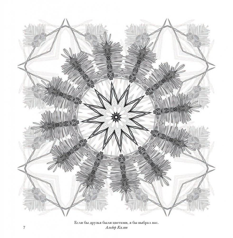 Флоросфера. Умиротворение фото книги 18