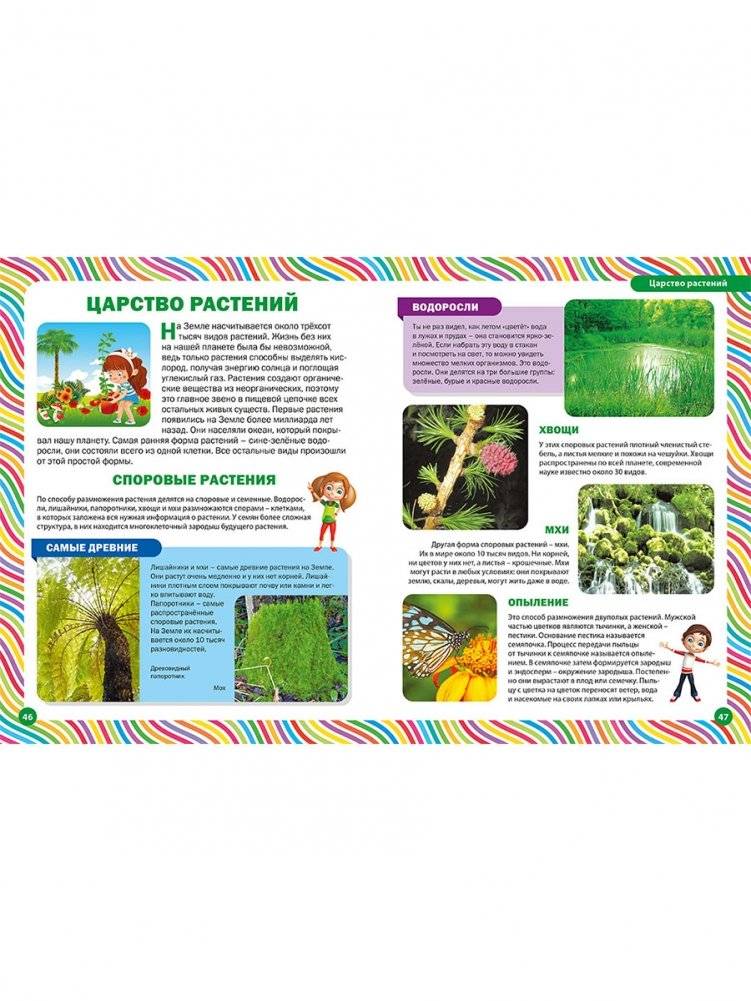 Большая книга для маленьких любознашек. Иллюстрированная энциклопедия фото книги 8