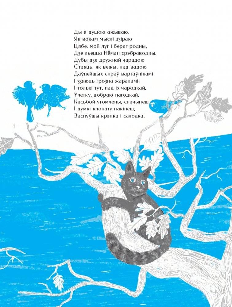 Новая зямля фото книги 9