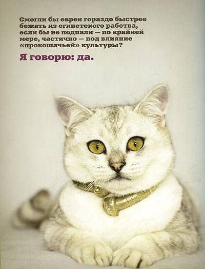 Почему собаки лучше кошек фото книги 4