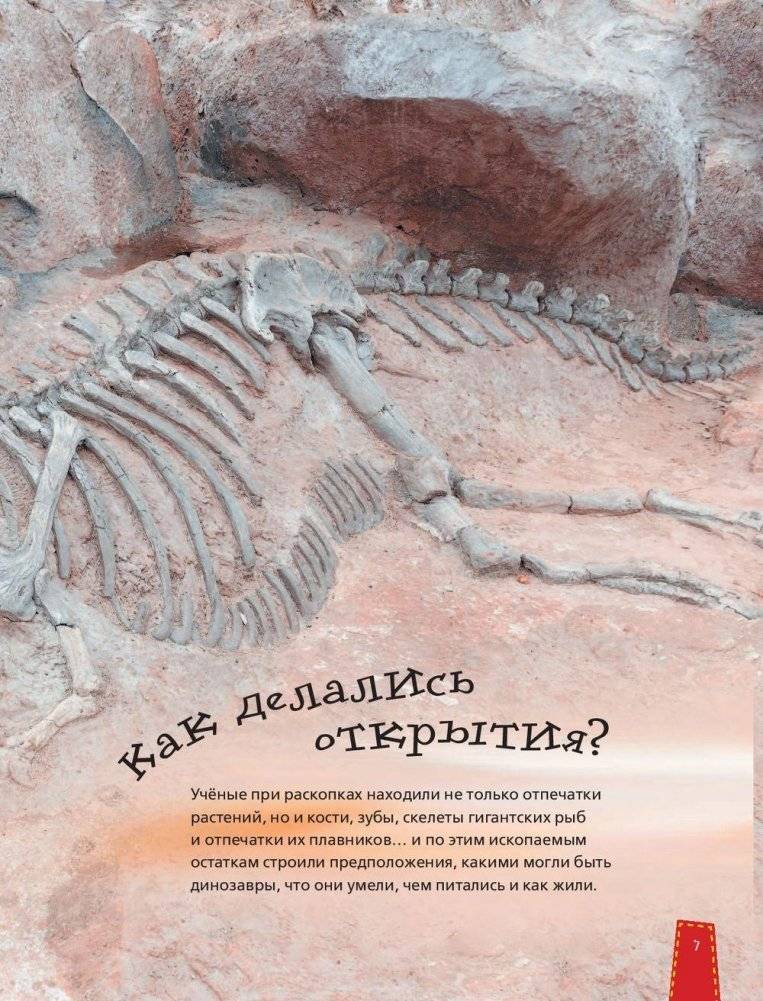 Динозавры в вопросах и ответах фото книги 7