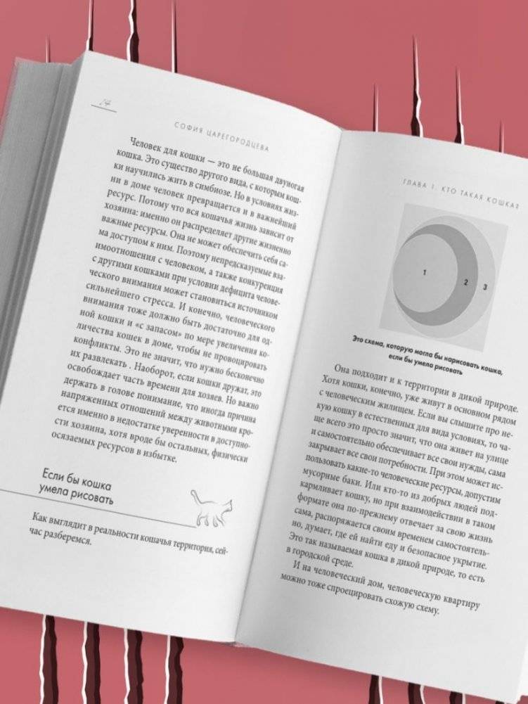 Кошачий закон и порядок. Как найти общий язык с кошкой и не стать жертвой ее капризов фото книги 3