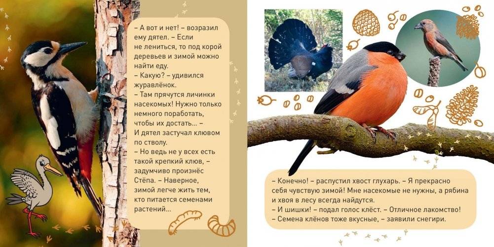 Кто как зимует? фото книги 3