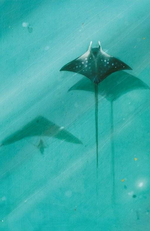 Диковинные животные фото книги 3