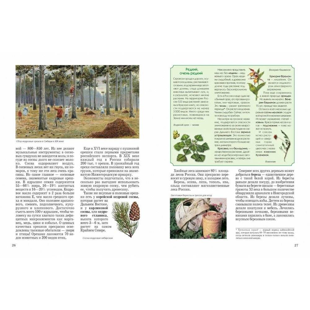 Природа России фото книги 6