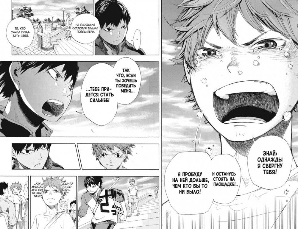 Волейбол! Книга 1. Хината и Кагэяма. Вид с высоты фото книги 4