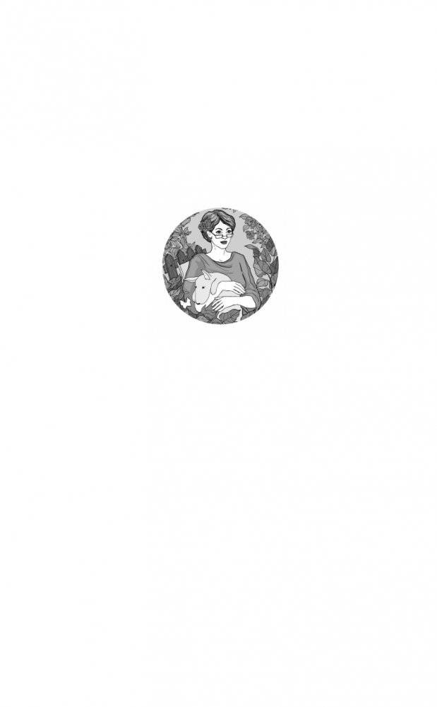 Роковой подарок фото книги 2