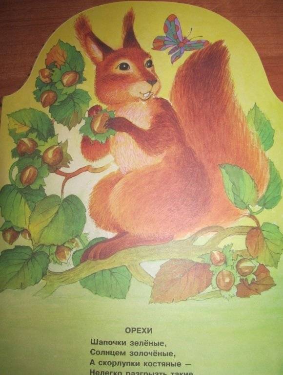 Что нам лето подарило? фото книги 5