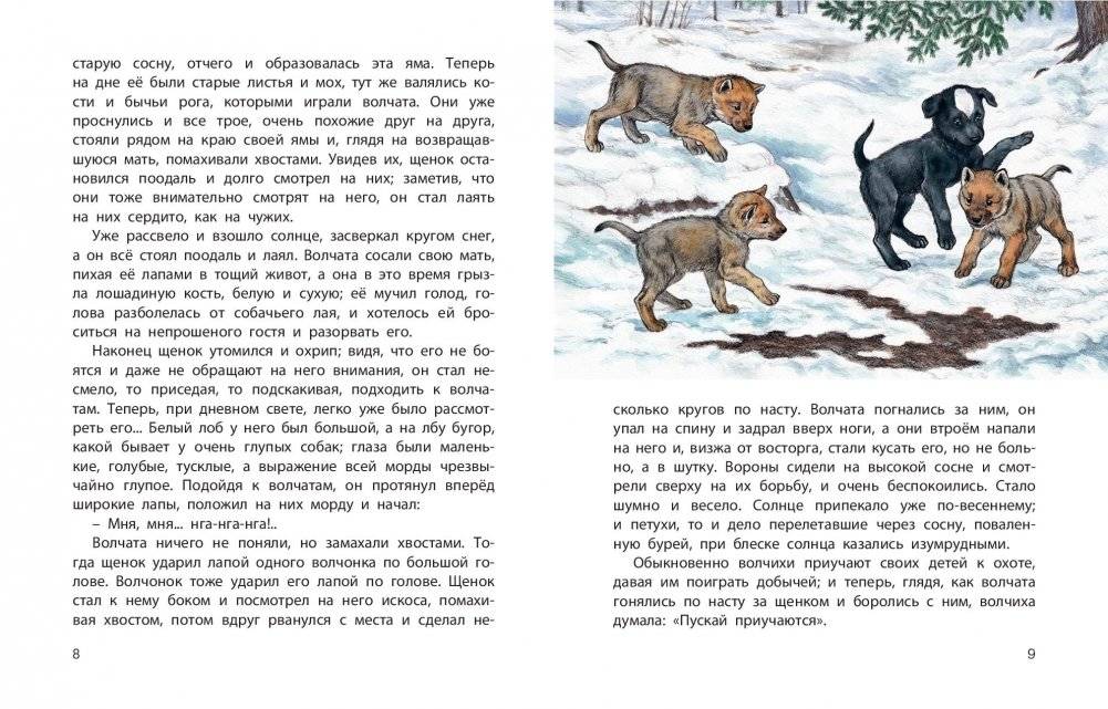 Истории из щенячьей жизни фото книги 2