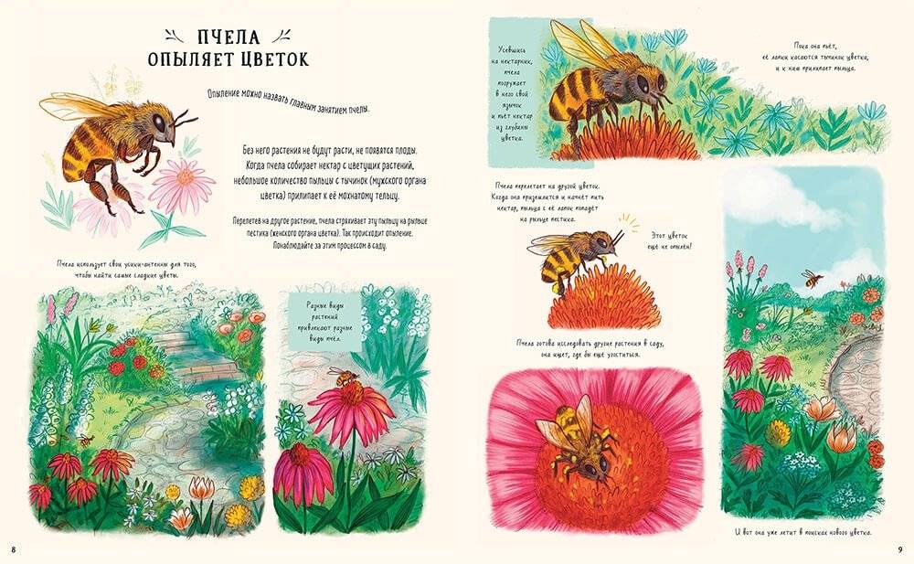 Оглянись вокруг. 50 маленьких событий в живой природе, ради которых стоит замедлиться фото книги 4