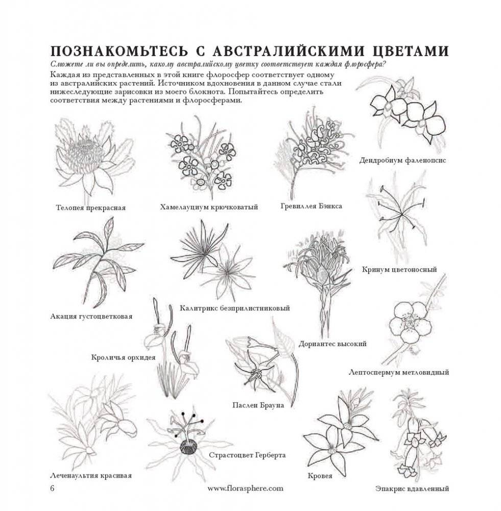 Флоросфера. Вдохновение фото книги 19