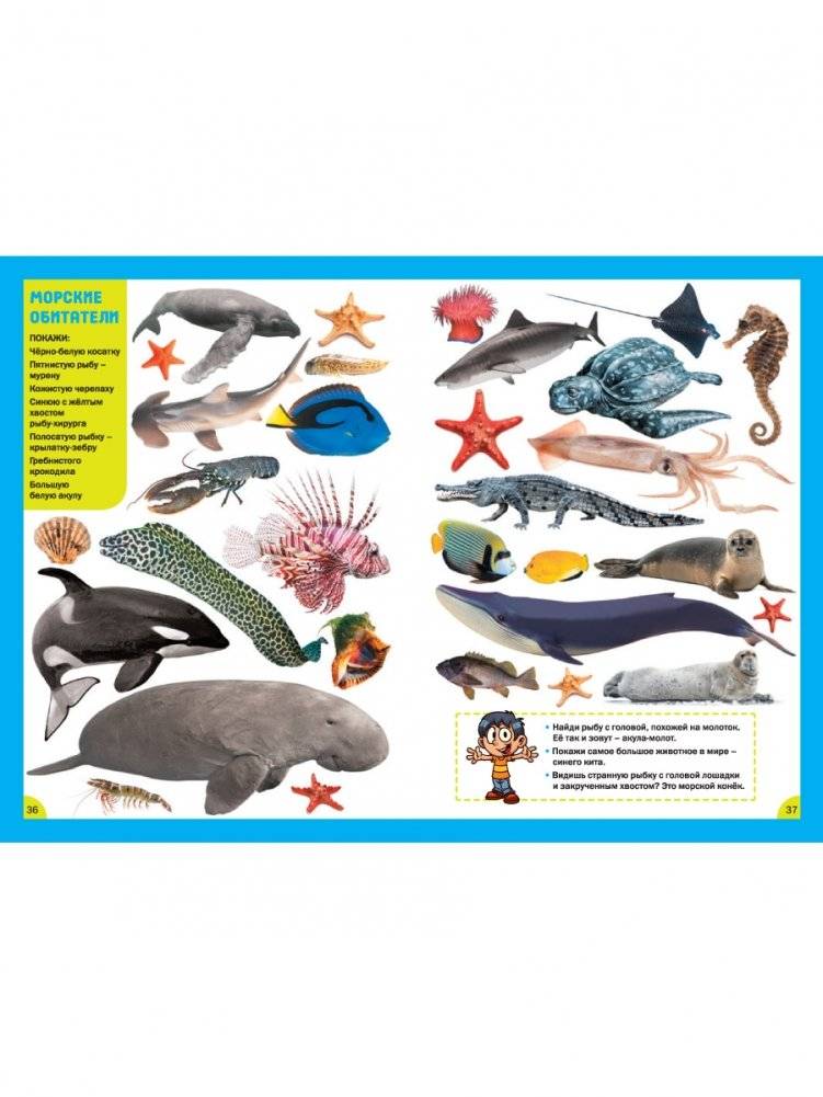Животные. Для детей от 3 до 6 лет фото книги 7