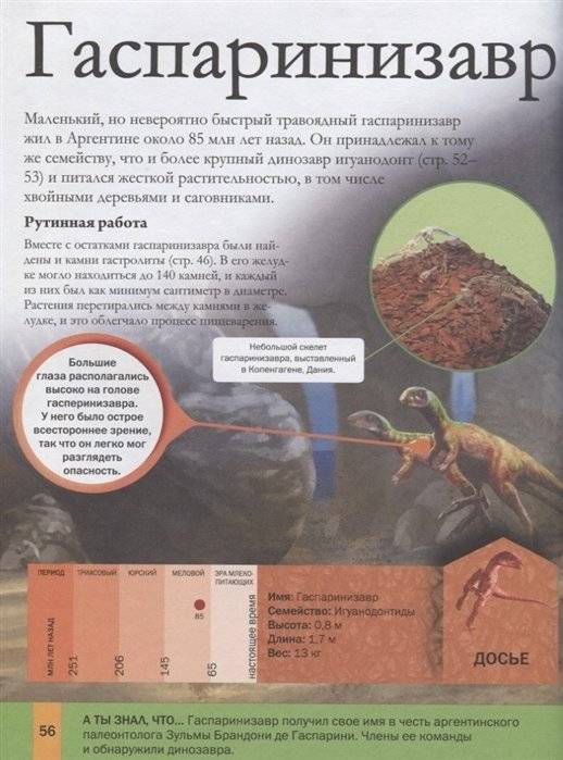 Динозавры для детей фото книги 5