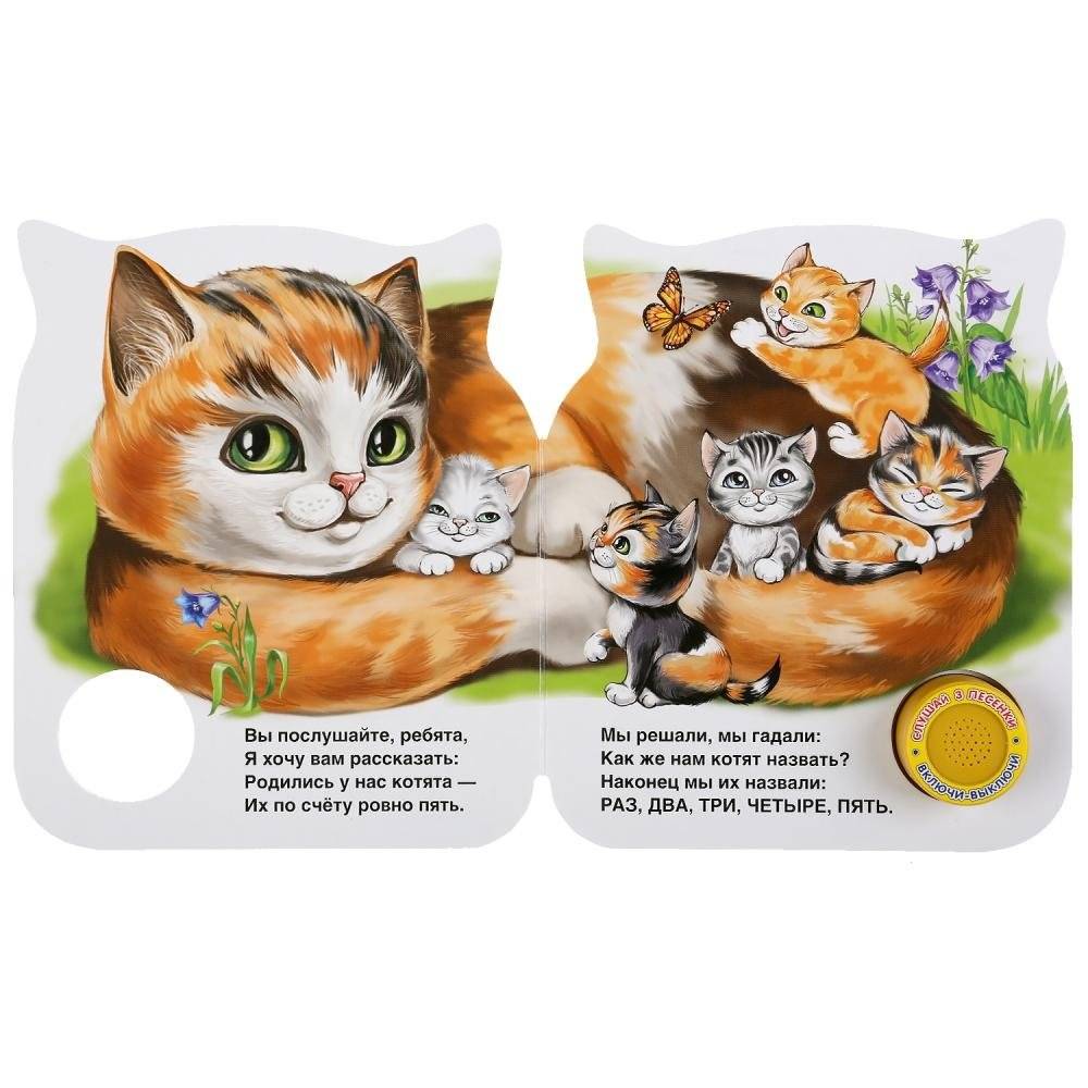 Котята фото книги 2