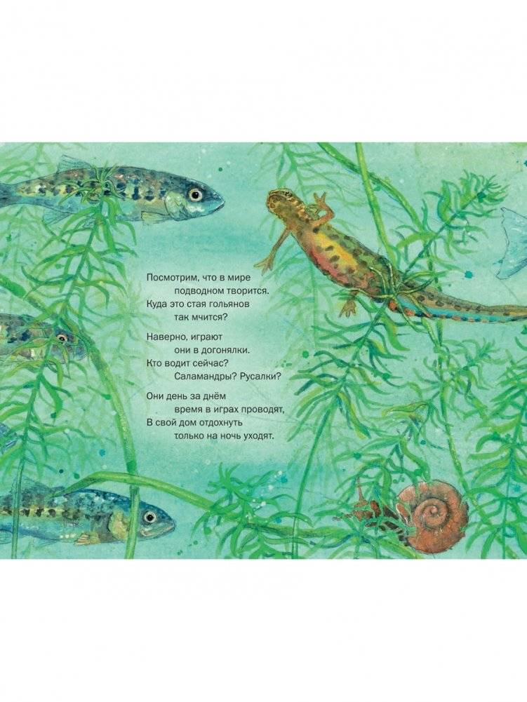 Окунёмся в мир русалок фото книги 3