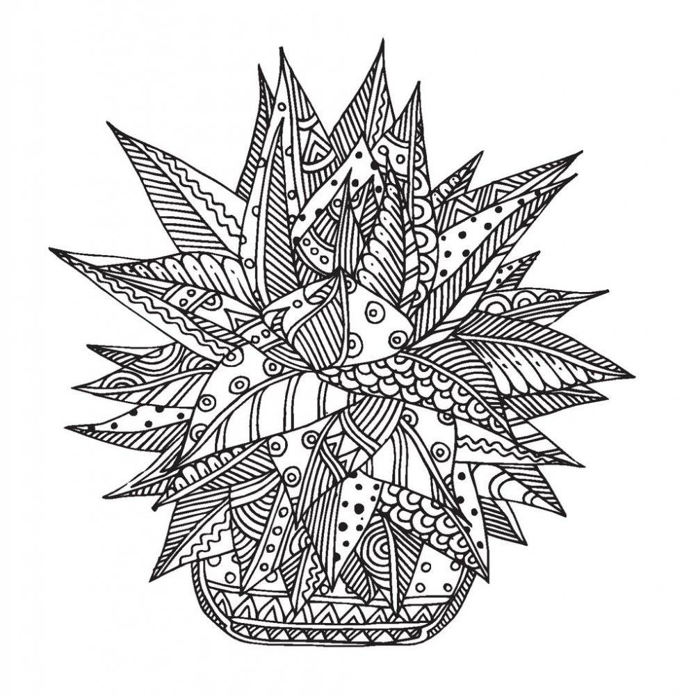 Cactus party. Раскраска-оазис для творчества и вдохновения фото книги 4