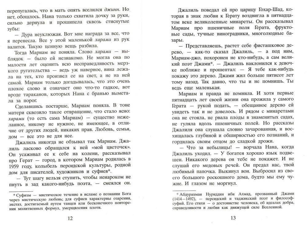 Тысяча сияющих солнц фото книги 3