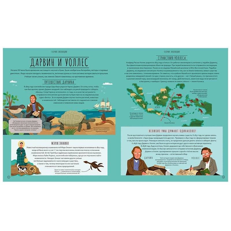 Чудеса эволюции. Путешествие во времени фото книги 3
