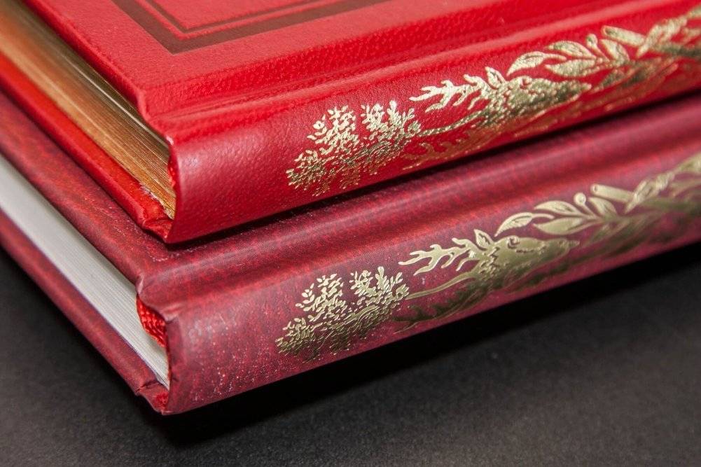 Приключения барона Мюнхгаузена фото книги 2