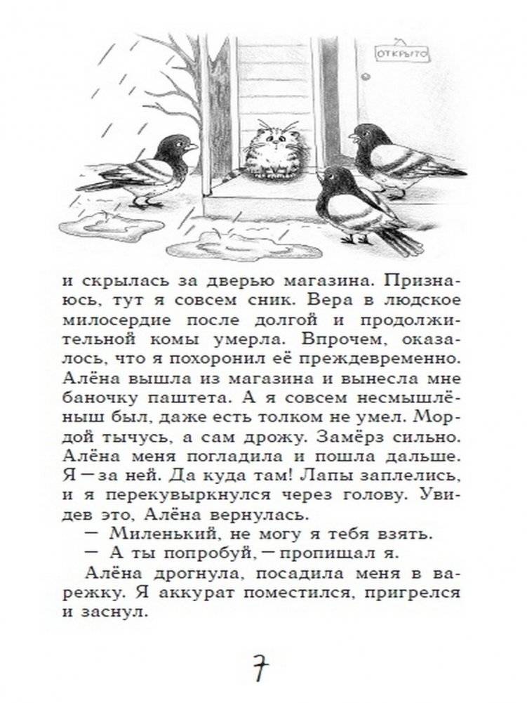 Блог кото-сапиенса фото книги 4