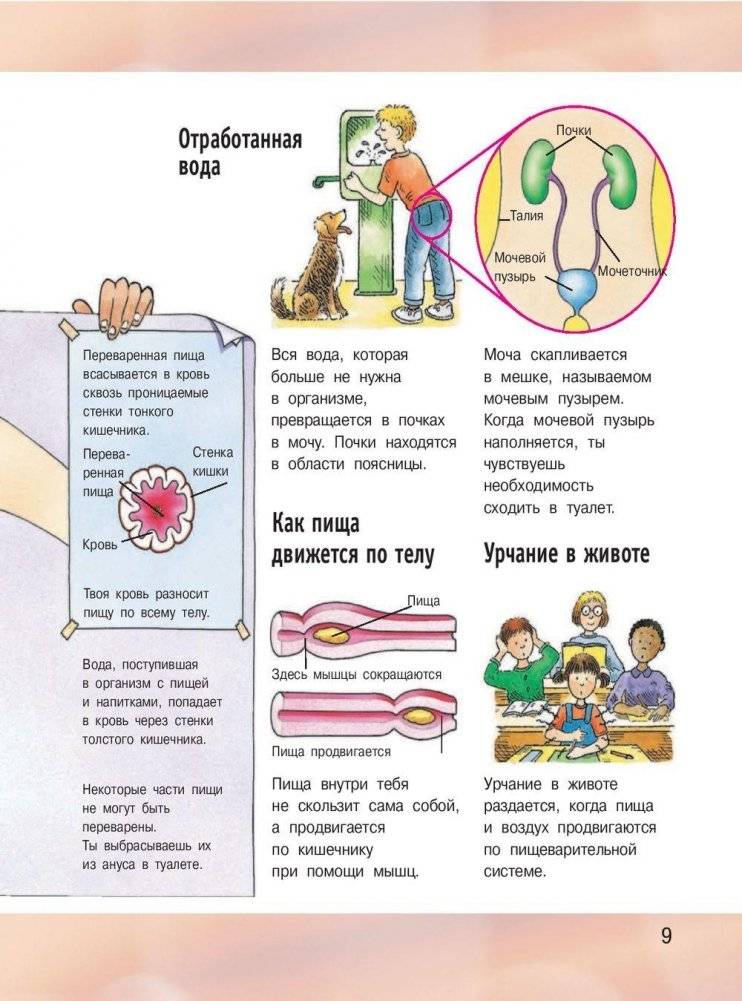 Иллюстрированная энциклопедия отчего и почему фото книги 10