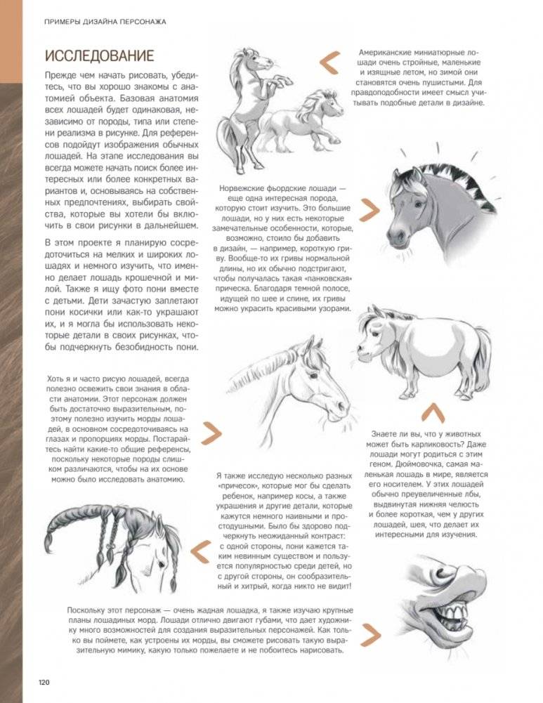 Дизайн персонажей-животных. Концепт-арт для комиксов, видеоигр и анимации фото книги 6