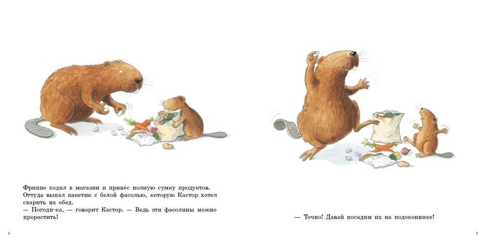 Огород Кастора фото книги 2