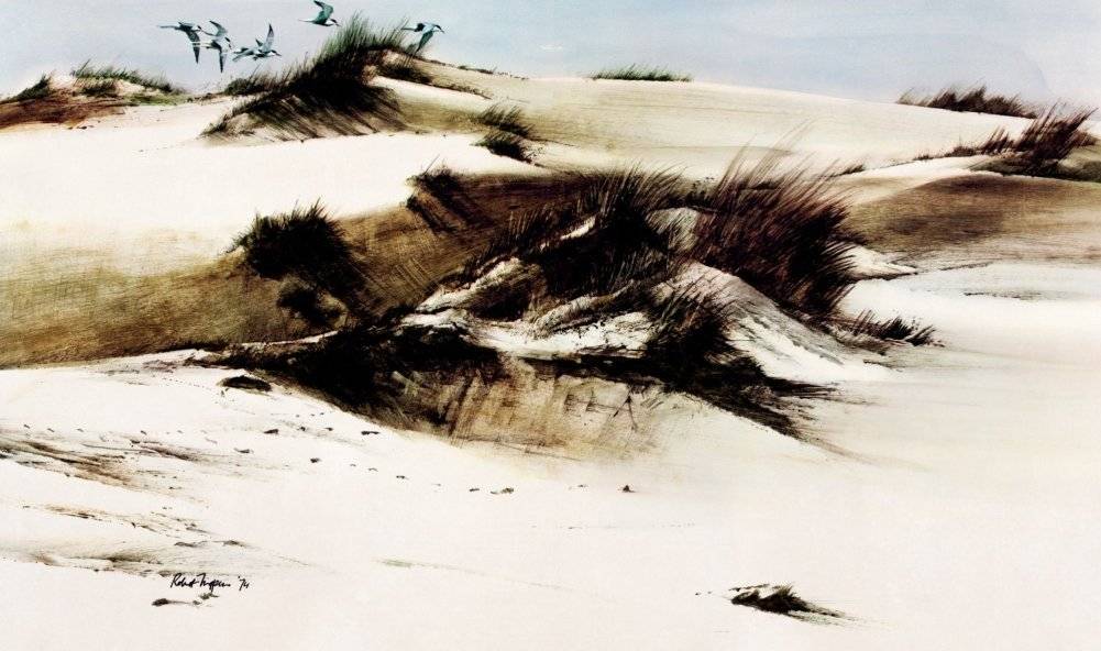 Штормик и мистер Персиваль фото книги 4