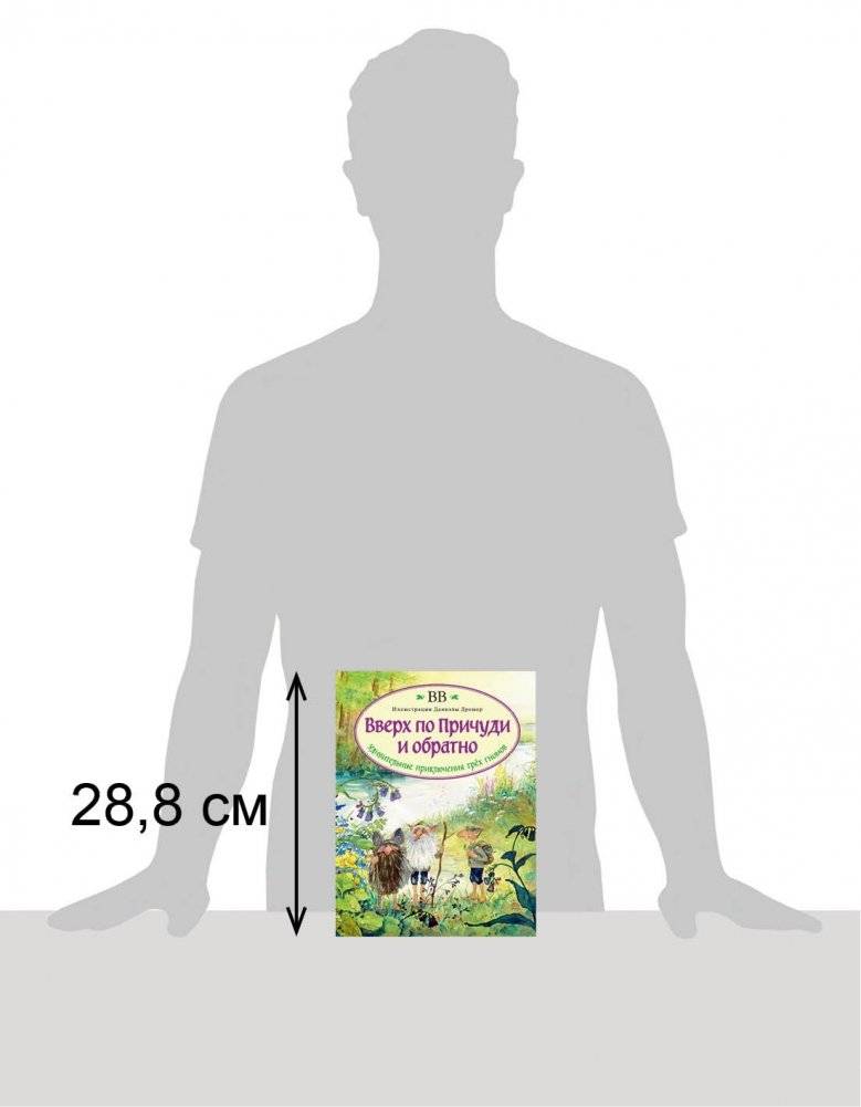 Вверх по Причуди и обратно. Удивительные приключения трех гномов фото книги 6