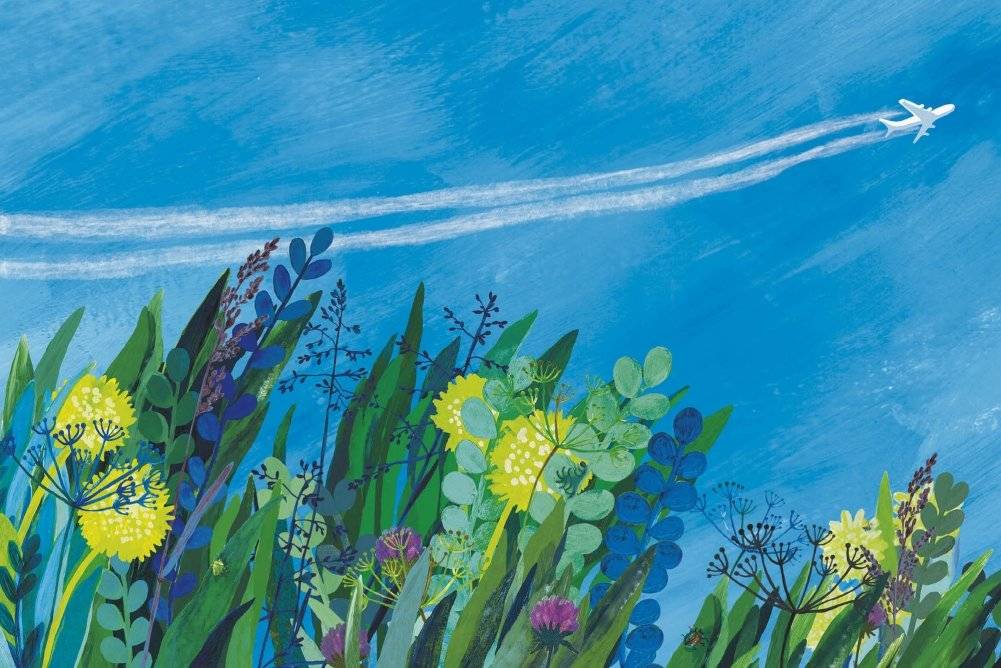 Кузнечик фото книги 2