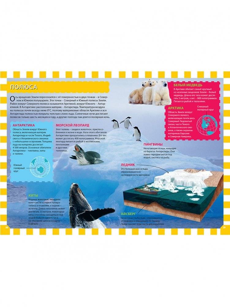 Вселенная и планета Земля. Детская энциклопедия фото книги 7