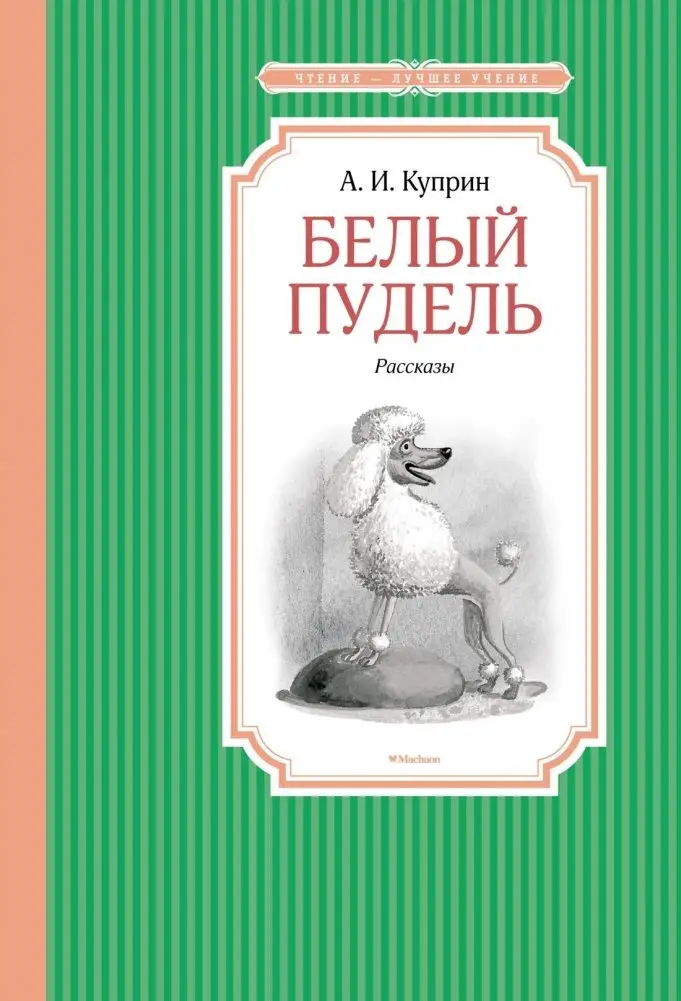 Белый пудель фото книги