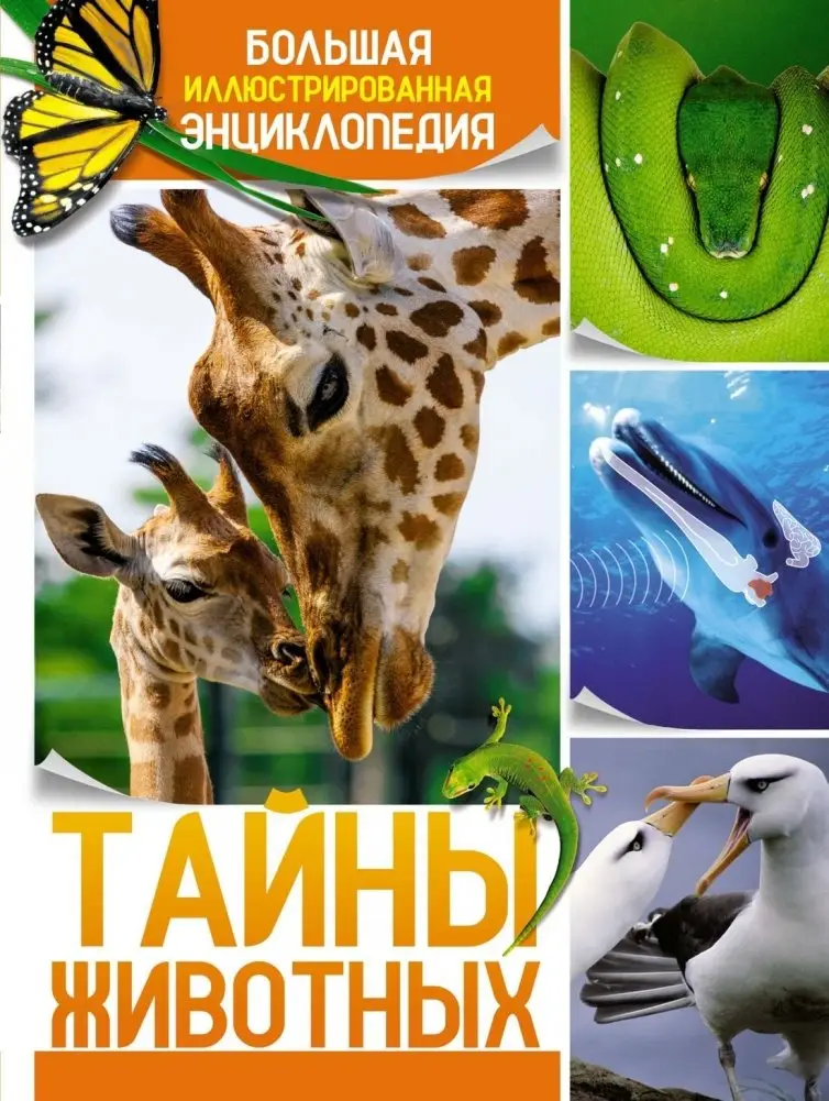 Тайны животных. Большая иллюстрированная энциклопедия фото книги