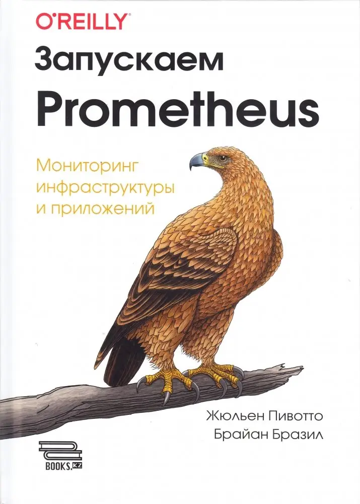 Запускаем PROMETHEUS. Мониторинг инфраструктуры и приложений фото книги