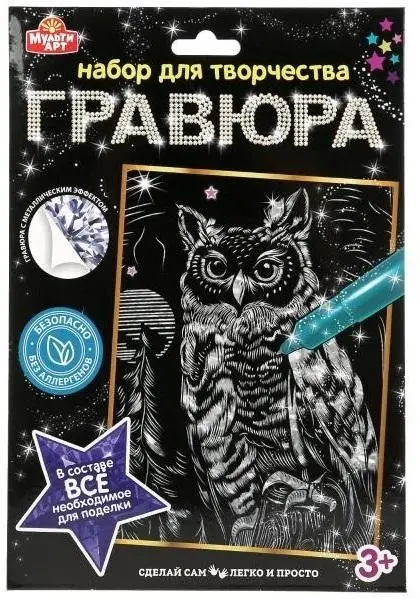 Гравюра, 18х24 см, "Сова", серебряная фото книги