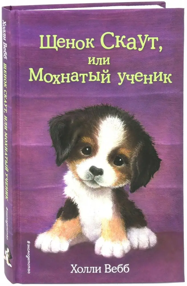 Щенок Скаут, или Мохнатый ученик фото книги