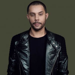 wildstylez
