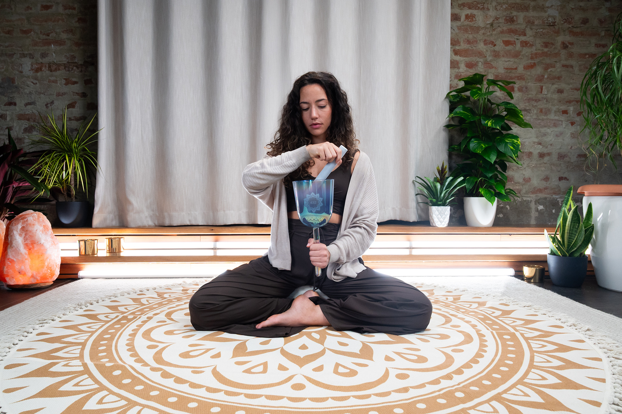 ECSB432LF__191d826b-3b98-40fb-a533-bc2c21220572