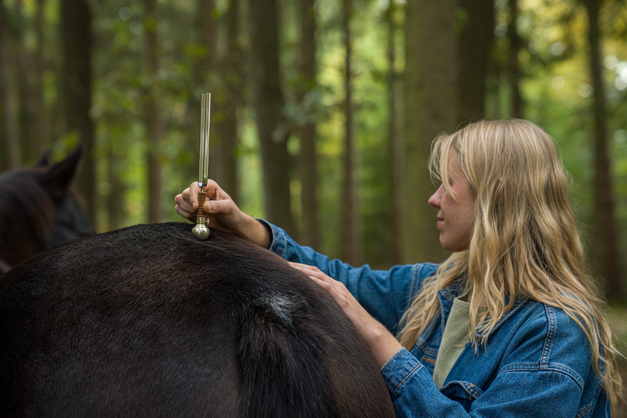 VF-RM__48a33b84-15d9-43c1-9697-eca2e1e12203