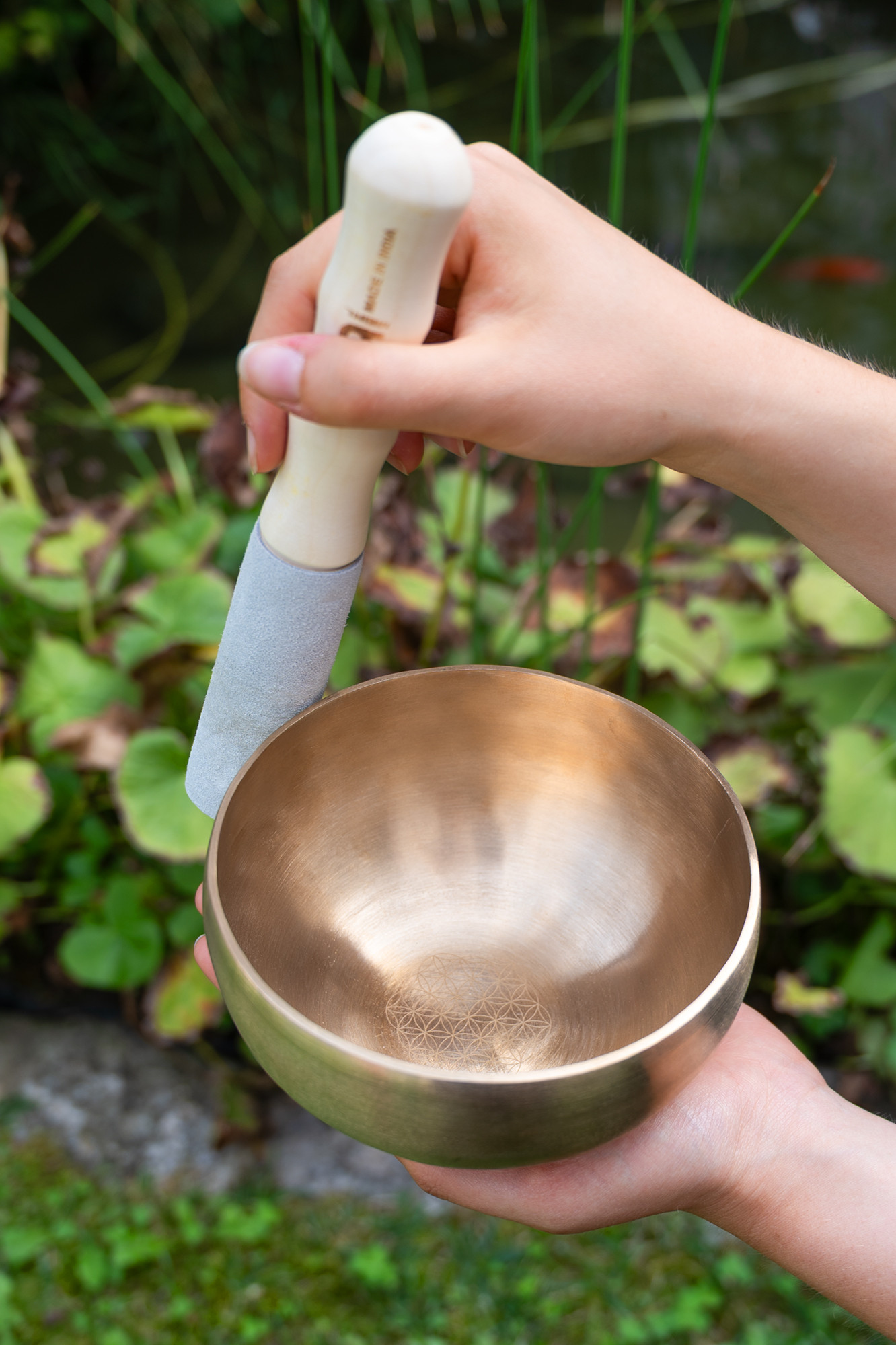 SB-SET-FOL600__d3b4de11-d5f1-4bbc-9833-e13b2fab65bf