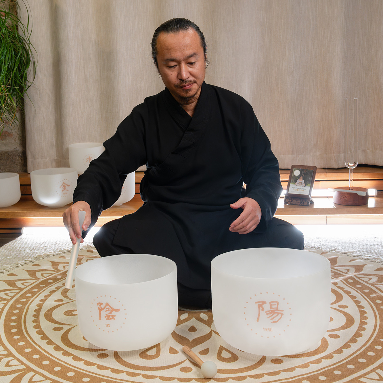 Meinl Sonic Energy 2-teiliges TCM Crystal Singing Bowl Set - Yin & Yang (TCMCSBSET2)