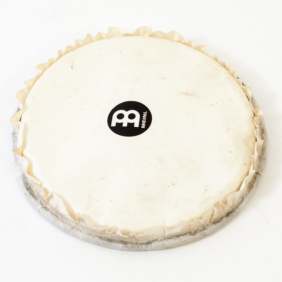 MEINL Percussion goat head for djembe - 10" (HEAD-108)