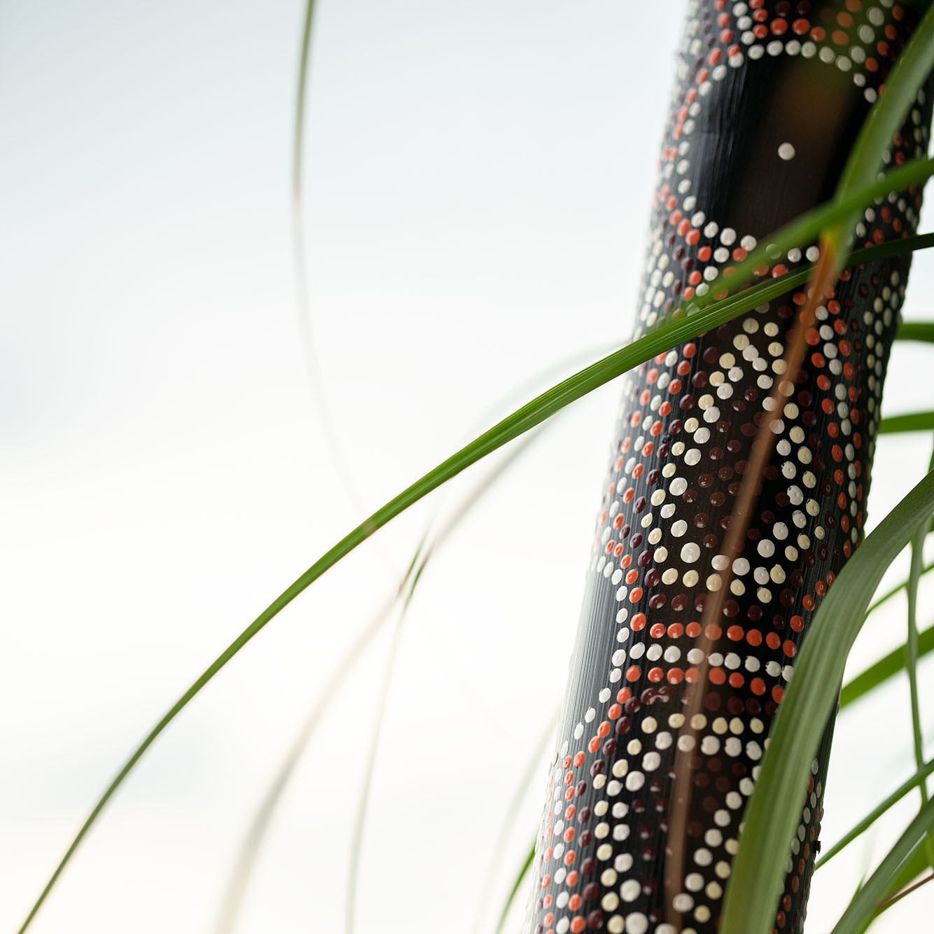 Meinl Sonic Energy Bamboo Rainstick Medium - Gepunktet/Schwarz (RS1M)