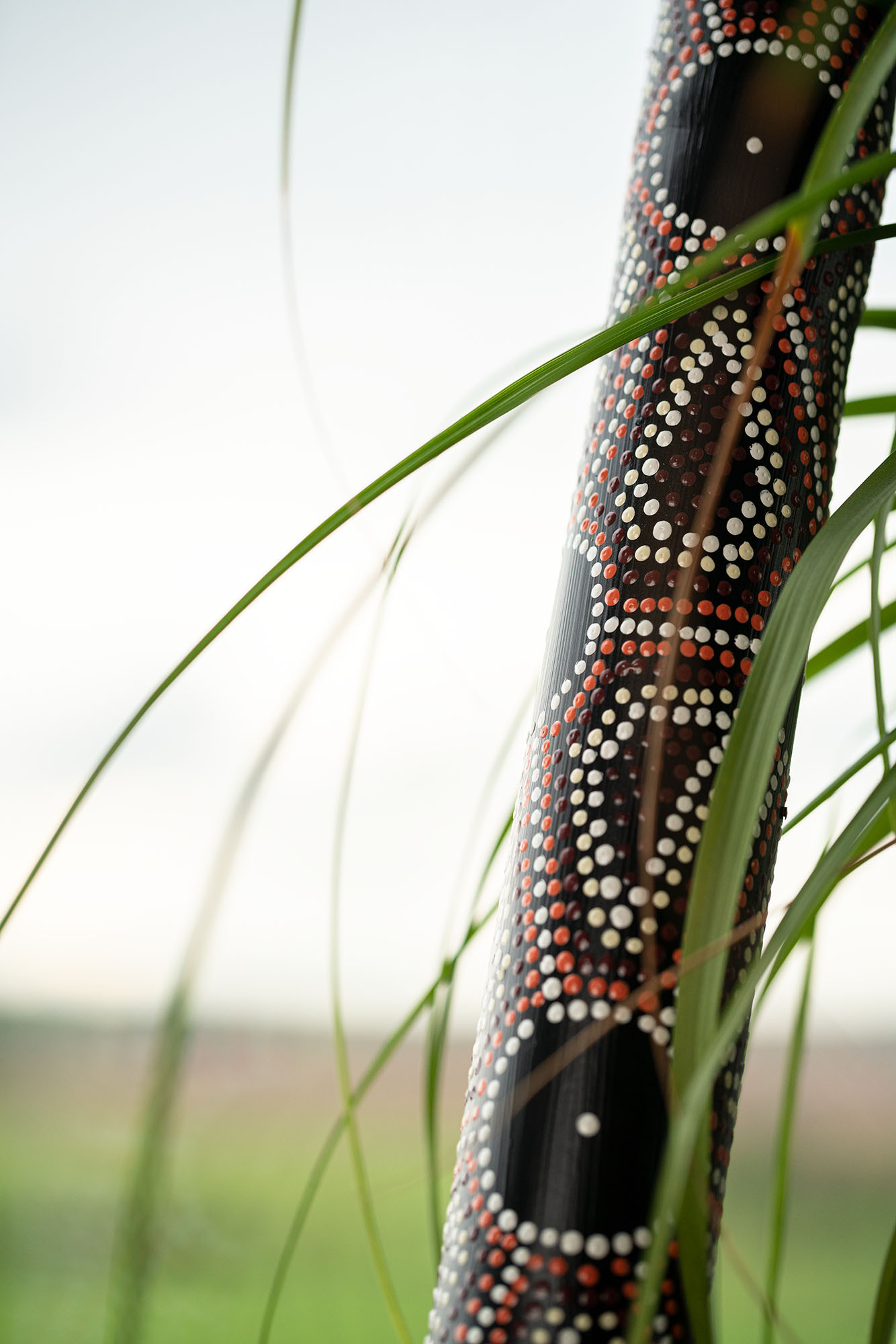 RS1M__2b9762d1-da5c-4950-8a1e-9d7e2b0f4aae