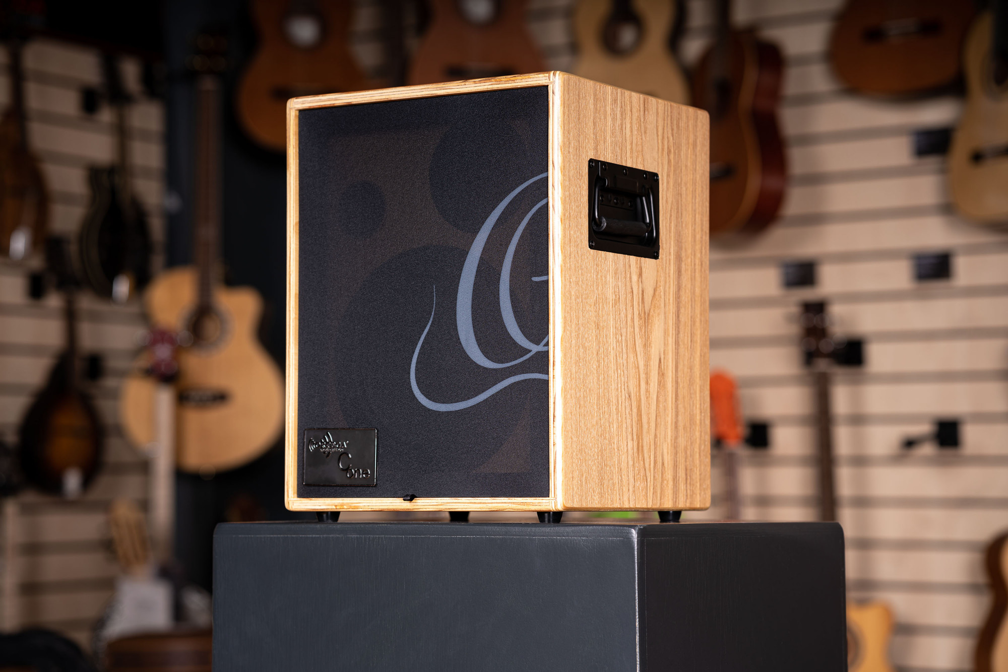 ORTEGA Amplification Serie Amplifier Combo (CONE-ASH)