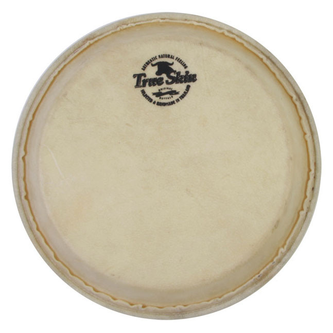 TS-B-19__56300cc5-8cc5-4bf9-9f9c-11d5788d0c7c